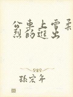 公车上雪柔被猛烈的进出