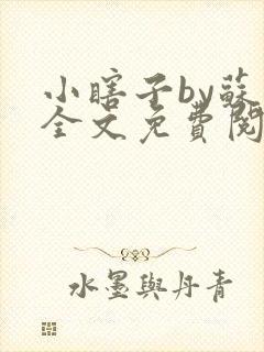 小瞎子by苏软全文免费阅读