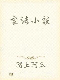 家法小说