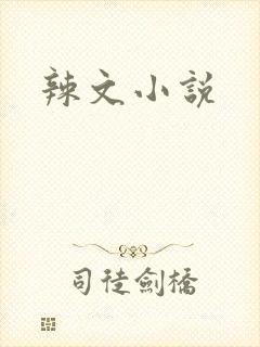 辣文小说