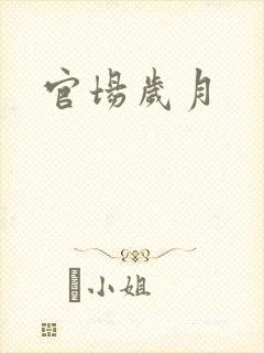 官场岁月