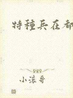 特种兵在都市