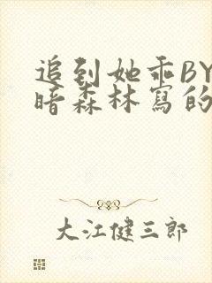 追到她乖BY黑暗森林写的小说