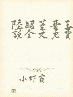 陆昭菱晋王的小说全文免费阅读