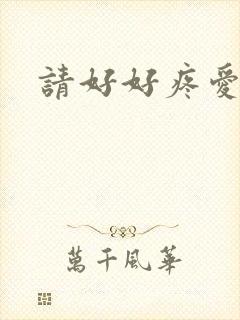 请好好疼爱里面