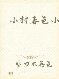 小村春色小说
