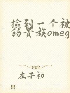 捡到一个被抹布的贵族omega