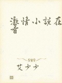 激情小说在线观看