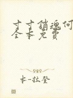 寸寸销魂何生祥全本免费