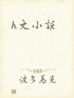 h文小说