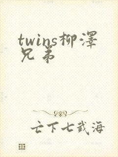 twins柳泽兄弟