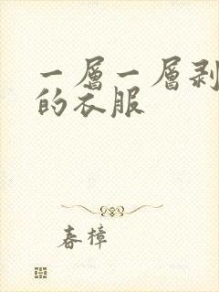 一层一层剥开我的衣服