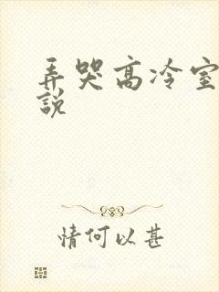 弄哭高冷室友小说