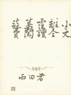 苏莱霍离小说免费阅读全文