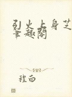 引火上身芝麻糖笔趣阁