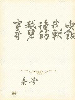 穿越后我吃到了哥儿的软饭炉山灰