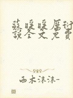 苏暖暖厉衍琛小说全文免费阅读