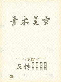 青木美空