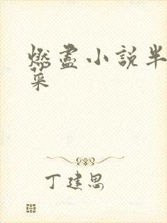 燃尽小说半截白菜