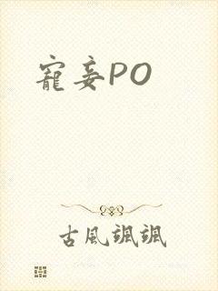 宠妾PO