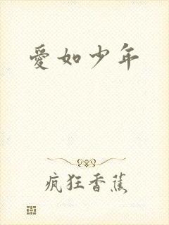 爱如少年
