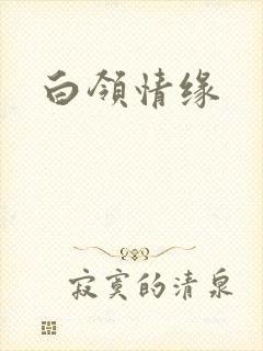 白领情缘