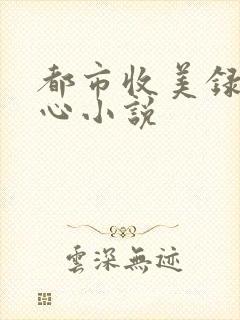 都市收美录宁素心小说