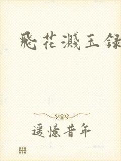 飞花溅玉录