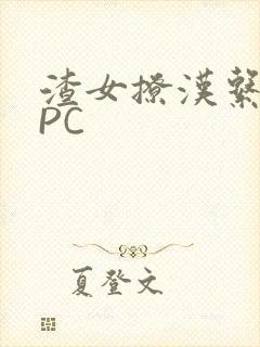 渣女撩汉系统NPC