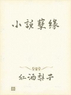 小说孽缘