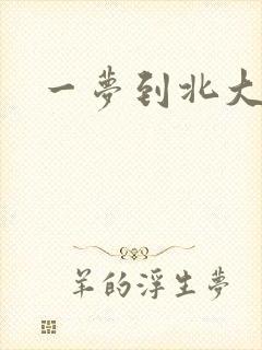 一梦到北大