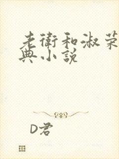 老卫和淑荣的经典小说