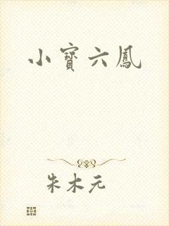小宝六凤