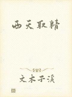 西天取精
