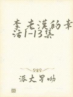 李老汉的幸福生活1-13集