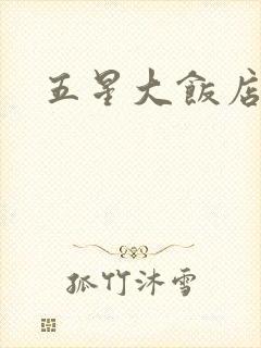 五星大饭店小说
