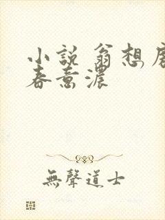 小说 翁想房中春意浓