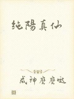 纯阳真仙