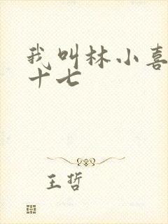 我叫林小喜今年十七