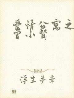 爱情公寓之极品曾小贤