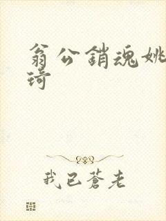 翁公销魂姚瑶琦琦