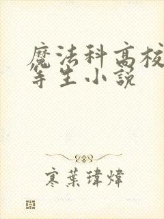 魔法科高校的劣等生小说