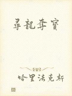 寻龙夺宝