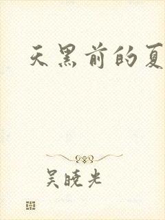 天黑前的夏天