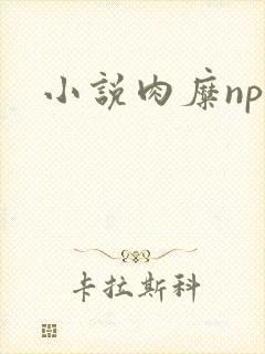 小说肉糜np