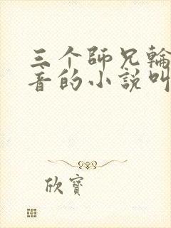 三个师兄轮流上音的小说叫什么