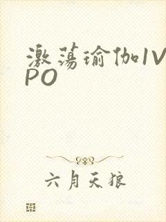 激荡瑜伽1V2PO