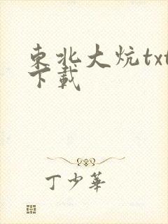 东北大炕txt下载