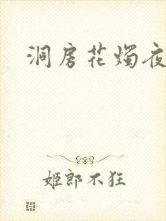 洞房花烛夜小说