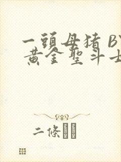 一头母猪 BY 黄金圣斗士